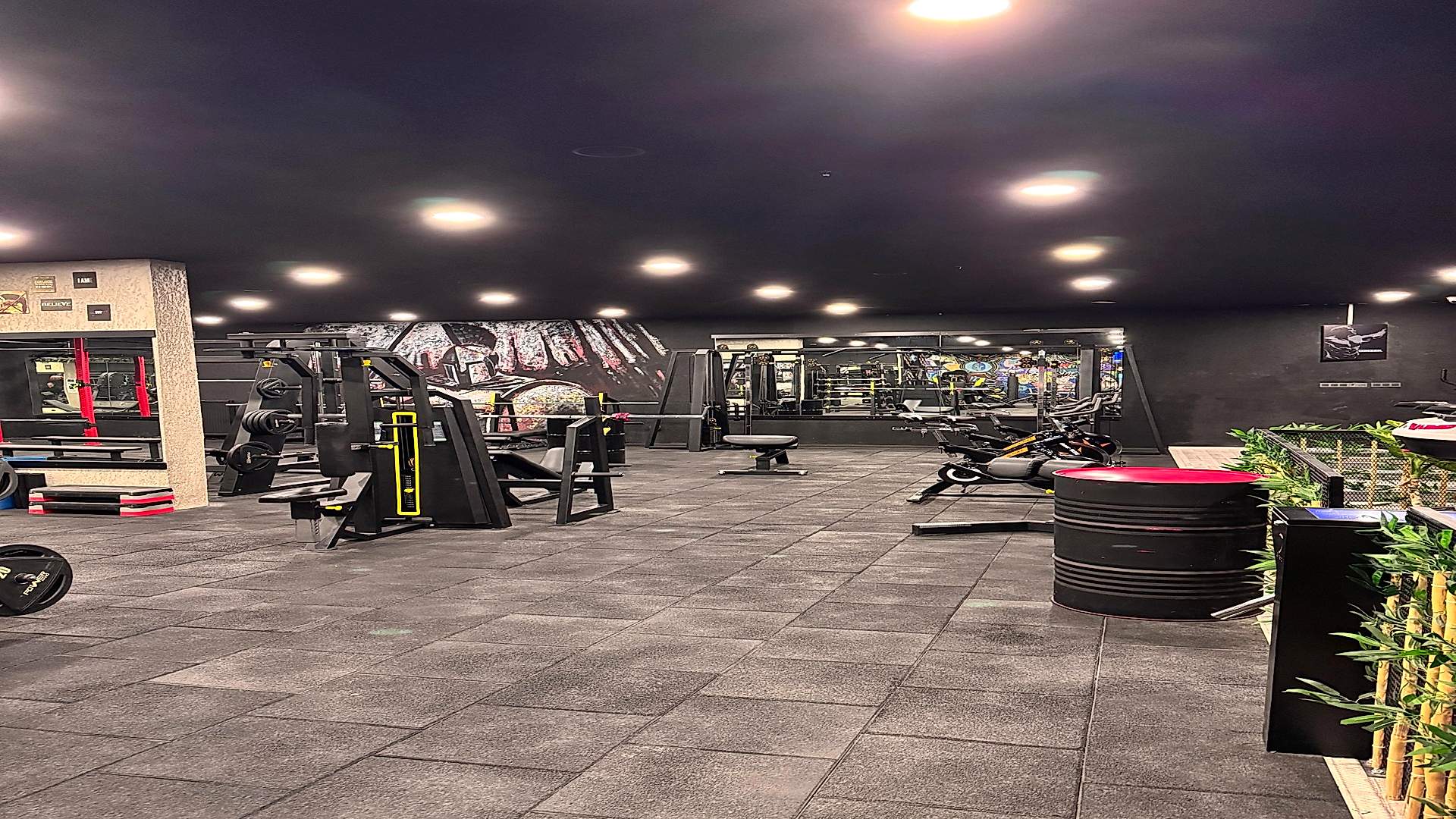 Arena Gym